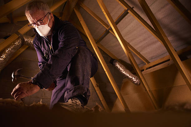Best Insulation Maintenance and Repair in Latrobe, PA